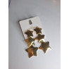Pendientes Estrella