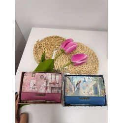 Cartera Pequeña n 2